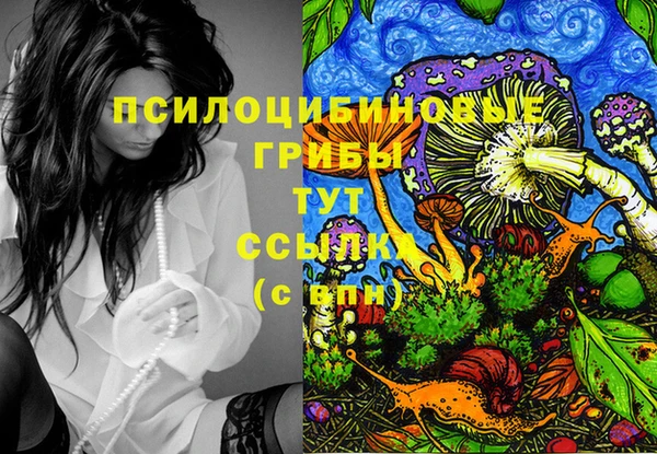 шишки Алзамай