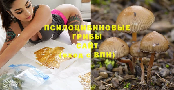 скорость Алексин