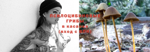 шишки Алзамай