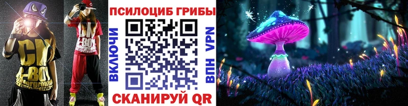 blacksprut ссылки  Суджа  Псилоцибиновые грибы MAGIC MUSHROOMS  наркота 