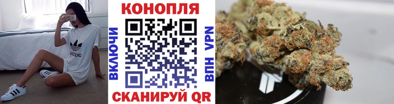 Канабис AK-47 Суджа
